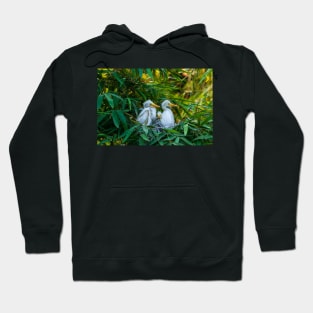 Three Great White Egret Chicks on the Nest. Cute baby birds photography. Hoodie